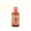 Cherry Kiwi Limeade Potion