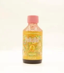 Mango Sorbet Potion