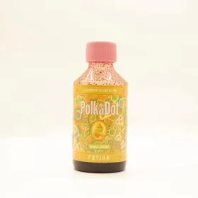 Mango Sorbet Potion