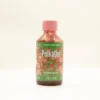 Watermelon Agua Fresca Potion
