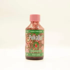 Watermelon Agua Fresca Potion